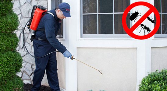 Evka 1 Kene İlaçlama böcek ilaçlama ve haşere kontrolü — ilaclama-tr.com